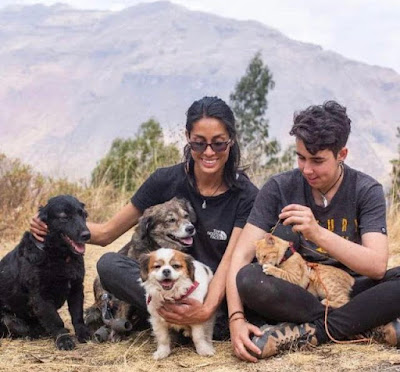 Tails of the Sacred Valley