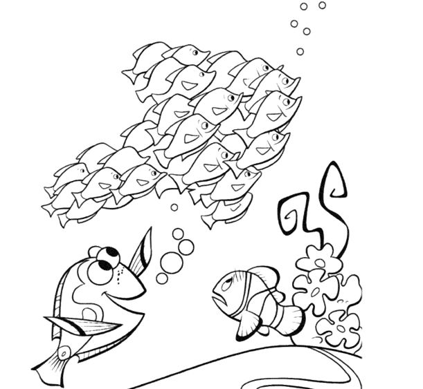 Gambar Mewarnai Nemo Ikan Kartun Lucu Gambar Mewarnai Lucu 
