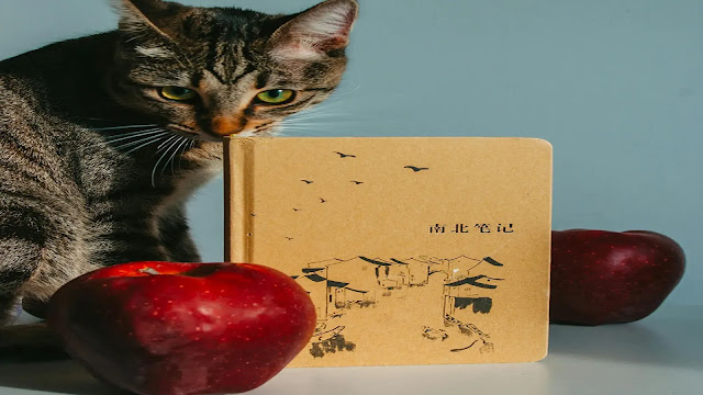 Cat and Apples