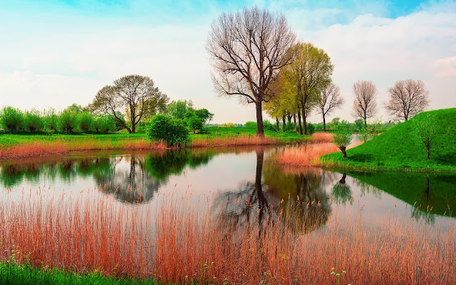 spring landscape photo hd, spring landscape image, spring landscape picture, spring landscape background, spring landscape desktop pc wallpaper, spring landscape high quality wallpaper