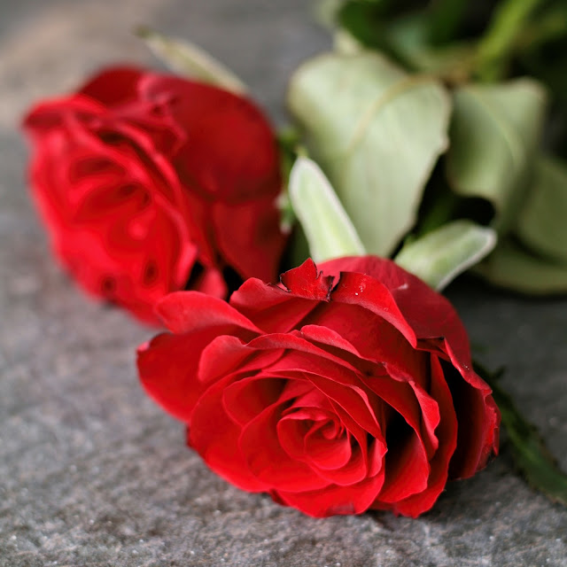 Red roses for Valentines Day. 