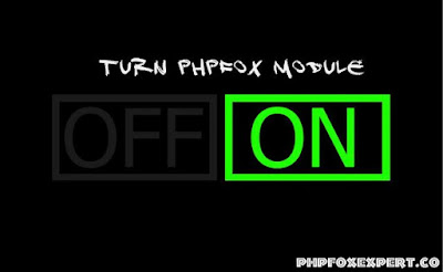 How to Turn on and off your PHPFox module