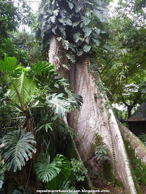 Parque Zoobotânico e Museu Paraense Emílio Goeldi