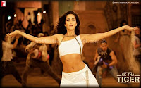 Katrina, hot, photos, from, ek, tha, tiger, movie