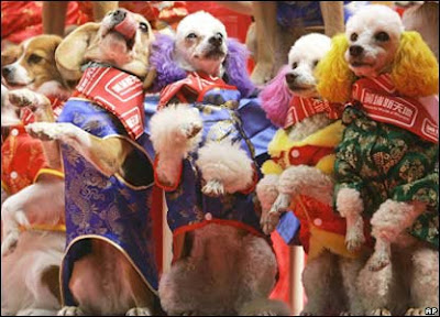 Chinese Dog New Year