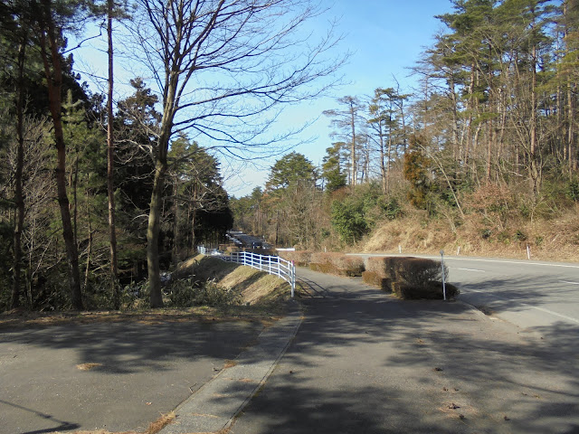 ロイヤルホテルの歩道から振り向いた眺め