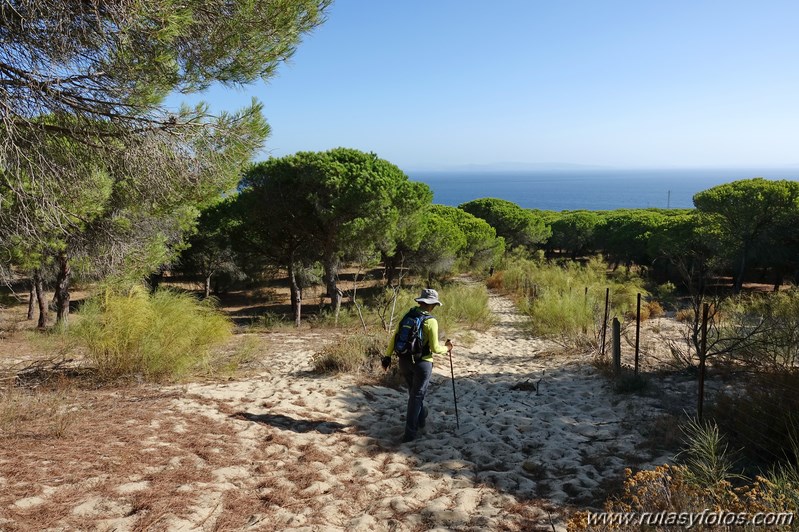 Los Algarbes - Betijuelo - San Bartolomé - Punta Paloma - Duna de Valdevaqueros