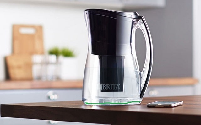 brita filter green pitcher algae growth contamination black particles