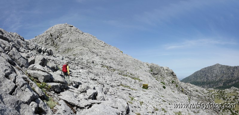 Nueve picos de la Sierra del Endrinal