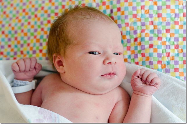 24 may 12 maggie one day old (72)