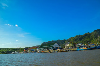 Menjelajahi Hutan Mangrove Kebumen