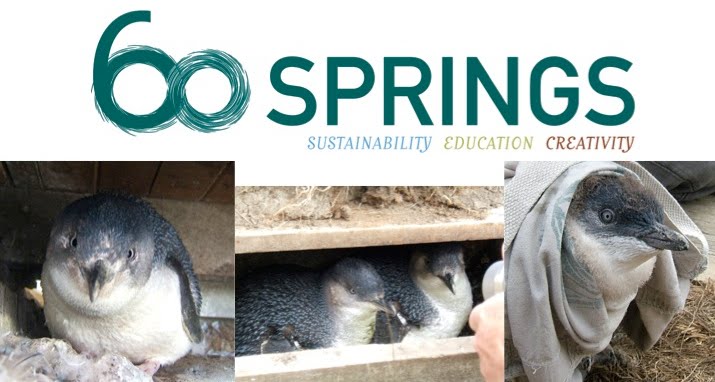 Penguin Experience