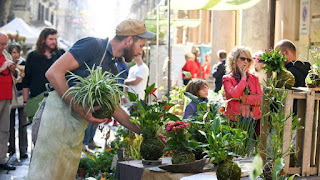 Il risveglio del giardino Sambuy