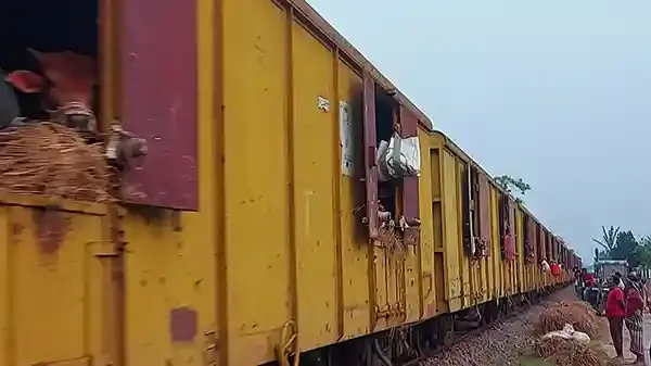 ইসলামপুর থেকে কোরবানী পশু নিয়ে স্পেশাল ক্যাটল ট্রেনের যাত্রা শুরু