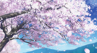 Animasi Bunga Sakura Bergerak