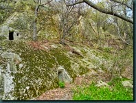 DSCN7305
