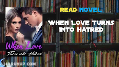 When Love Turns Into Hatred Novel