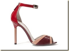 zapatos6