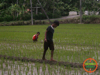 Foto Anak Memancing Belut di Sawah