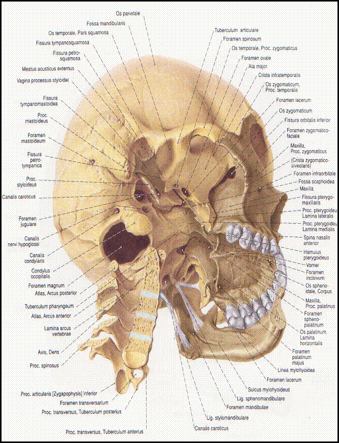 clip_image002[21]