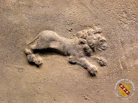 METZ (57) - Musée de la Cour d'Or : Sarcophages de plomb (IVe siècle)