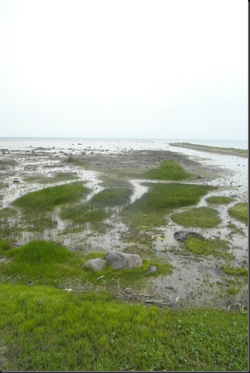Tiny LaFountain  Beach Park  (19)