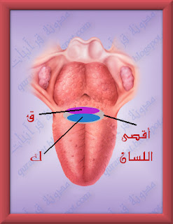 مخرج أقصى الحلق ، القاف والكاف