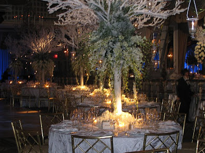 Hayley and Shawn's Winter Wonderland Wedding