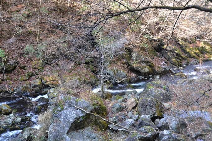 20091128 DSC 0004