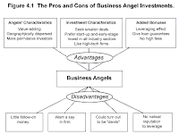 Who are Angel Investors?