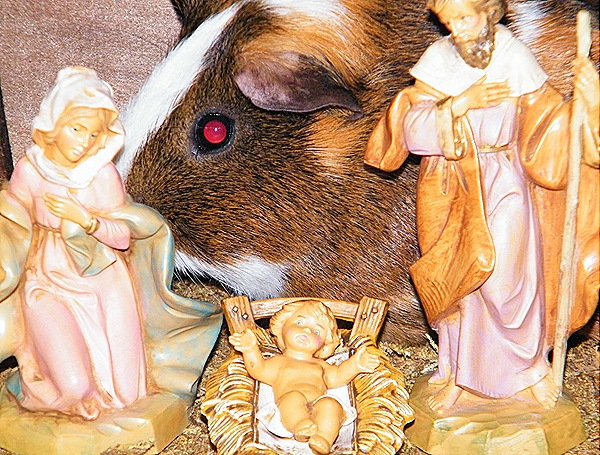 2010_1129santa0013