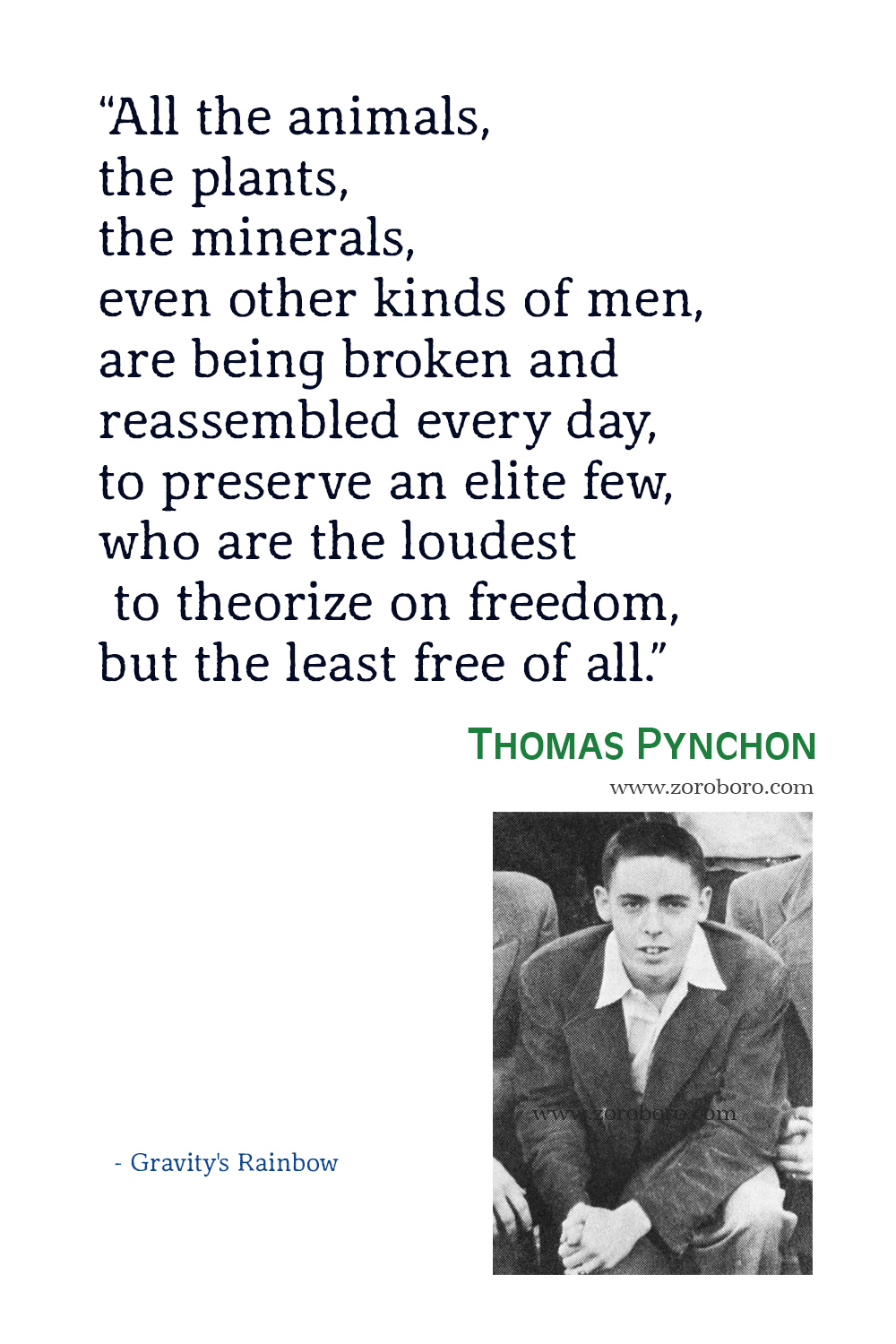 Thomas Pynchon, Thomas Pynchon Gravity's Rainbow Quotes, Thomas Pynchon V. Quotes, Thomas Pynchon Short Stories, Thomas Pynchon Books.