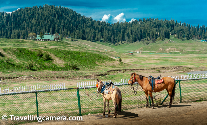 C. All taxis drop a km behind the Gandola station. By the time you reach Gulmarg, an aim will be imprinted in your mind that you have to do Gandola ride. You will ignore a huge beautiful meadow. Suddenly lot of pony owners will come to you for dropping you at Gandola station. This is another example of how car operators and these vendors do things with tourists. Anyways, if you are ok walking for 1 km, ignore these vendors unless you like pony rides. Please also remember to ask your taxi to drop you near gate from where road goes to Gandola station.      D. If you are these in season, I will simply suggest to avoid this Gandola thing as you may spend 1.5-2 hours in queue and that's not worth when you are visiting Gulmarg for few hours in a day. So why not hike yourself in those 2 hrs or take pony, although I don't even recommend this pony thing as Pony master decides everything for you and at times pushes to come down sooner as he may want to take another customer.     E. There is another scam in Gulmarg which is about guides. It's not all wrong. There are some good guides but it's very hard to find them. Administration has done nothing to normalise this. So everyone can be guide and will show you some random places around Gulmarg. We didn't have any guide and checked with folks who had one. Most of them were disappointed expect a few who were happy that they saw some places which they may have missed otherwise.     Bottomline - Think how you want to spend your time in Gulmarg and also think about the crowd you need to deal with when you go with obvious options. Also be aware of the scams like pony rides which are forced upon you because you are new to the place. Don't get the jacket/boots when you are there in summers and pick when you are sure you are going to indulge in snow activities. Even then it's worth when there is lot of snow. Phase-1 doesn't have that much snow, so save your money and energy to carry this unnecessary stuff with you.     Related Blogpost - Sinthan top - Snow covered Mountain Pass, Popular Tourist destination between South Kashmir's beautiful Breng Valley in Anantnag district & Kishtwar in the Indian union territory of Jammu and Kashmir