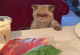 Funny cats - part 87 (40 pics + 10 gifs), cat looking at the meat on the table