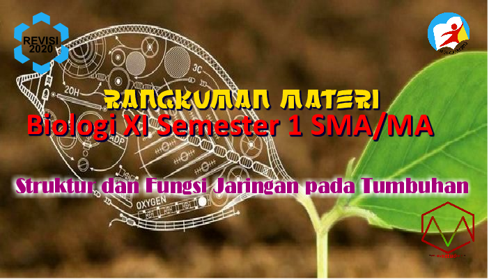  Materi  Biologi Struktur  dan Fungsi Jaringan pada Tumbuhan 