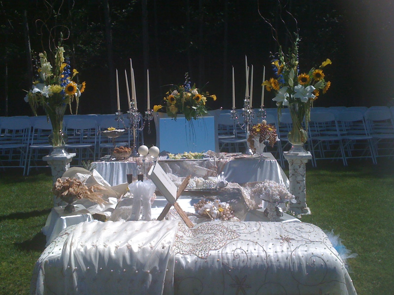 Blue & Yellow wedding