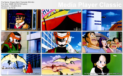 Download Film / Anime Dragon Ball Z Majin Buu Saga Episode 204 Bahasa Indonesia