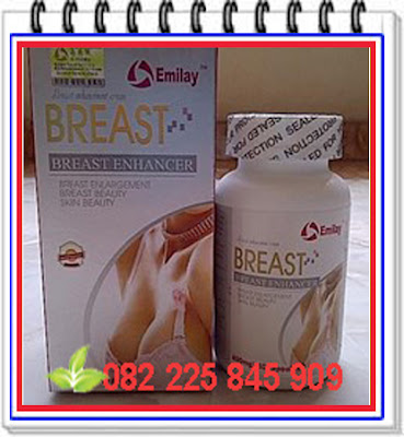 http://www.tokochiliong.com/2016/11/jual-obat-pembesar-payudara-herbal-emilay-breast.html