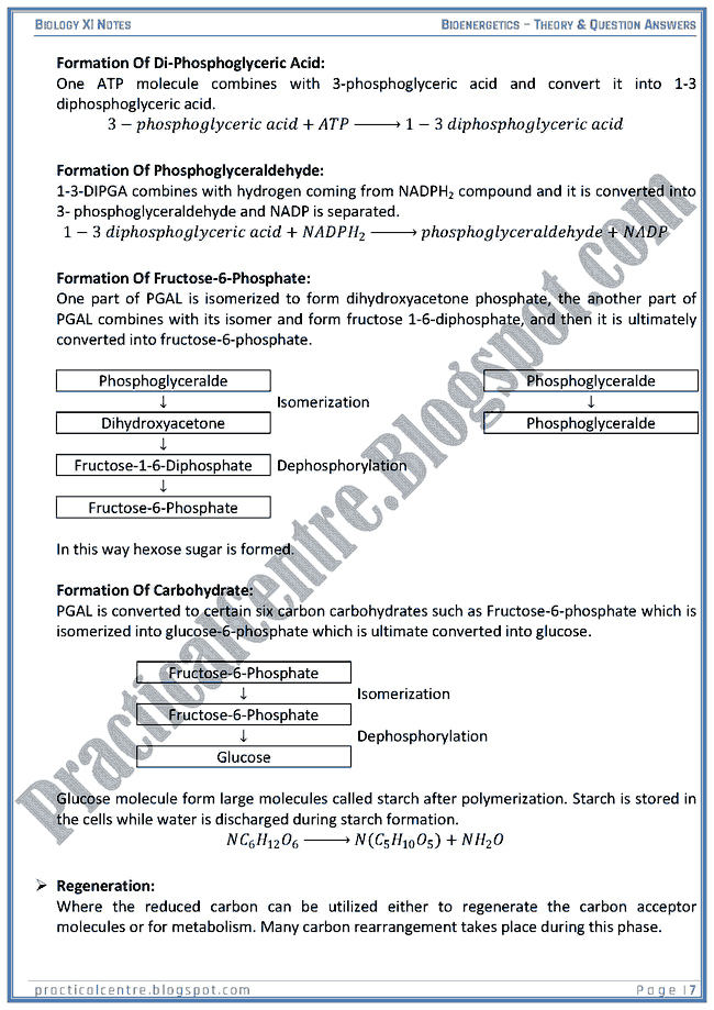 Bioenergetics - Theory And Questions Answers - Biology XI