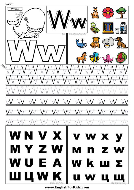 ABC learning worksheet, letter W tracing