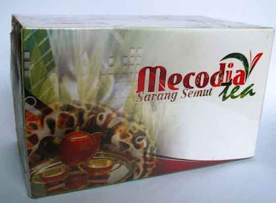 mecodia sarang semut tea, khalilla, teh sarang semut,stok herbal