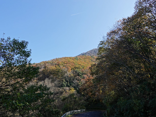 帰るみちすがら紅葉が綺麗です　鳥取県西伯郡大山町大山の大山環状道路