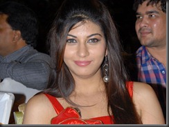 sara-sharma-at-disco-audio-function-HOT