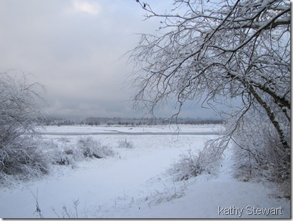 Snowy morning