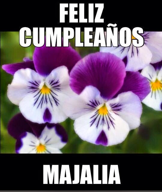 Happy birthday; imagenes 