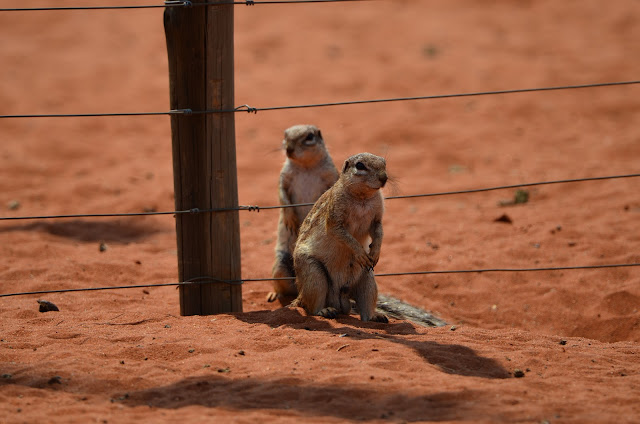 Namibia