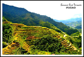banaue+rice+terraces+Ifugao.jpg