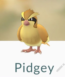 Is Pidgey a secret powerhouse in Pokemon Go? Well, no...