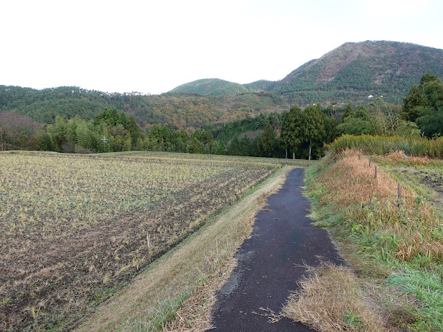 鳥取県西伯郡大山町赤松 農道からの眺望