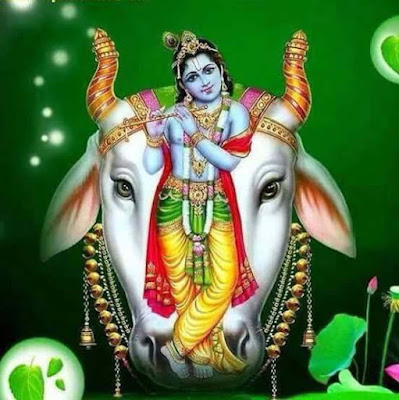 lord-krishna-with-cow